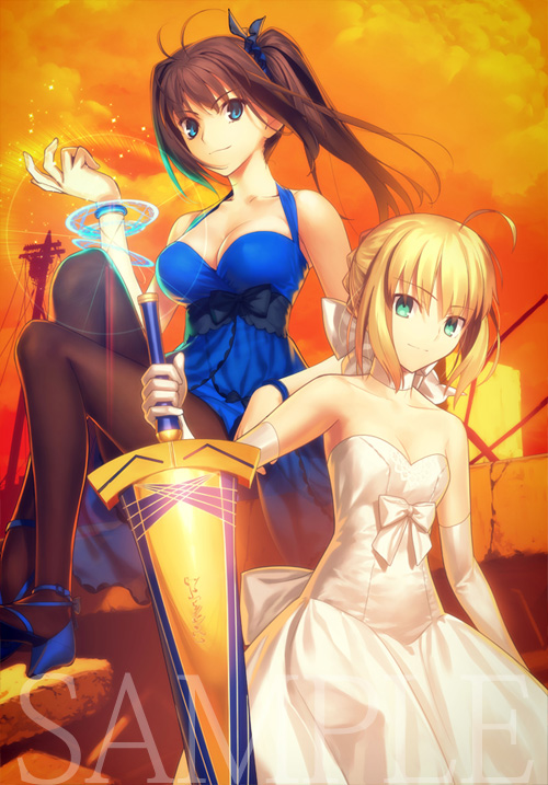 アニメTYPE-MOON　Fes．-10TH　ANNIVERSARY　Blu-ray